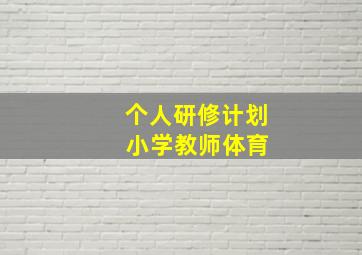 个人研修计划 小学教师体育